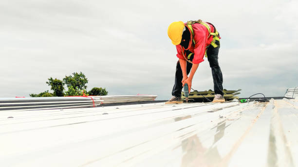 Best Roof Maintenance and Cleaning  in Montrose Ghent, OH